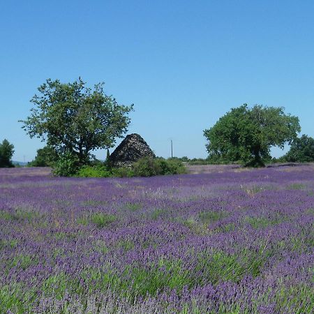 La Mordoree La Motte-d'Aigues Kültér fotó