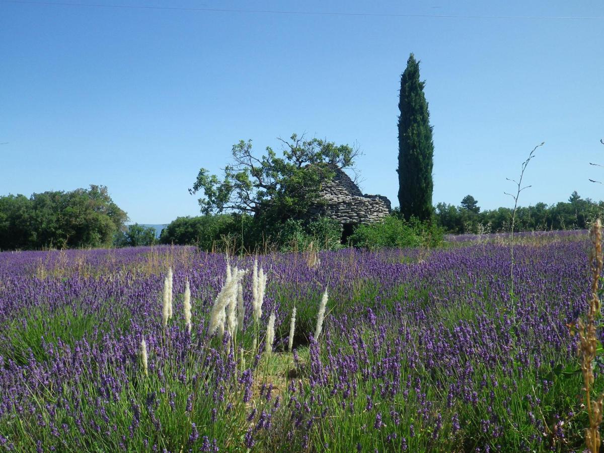 La Mordoree La Motte-d'Aigues Kültér fotó