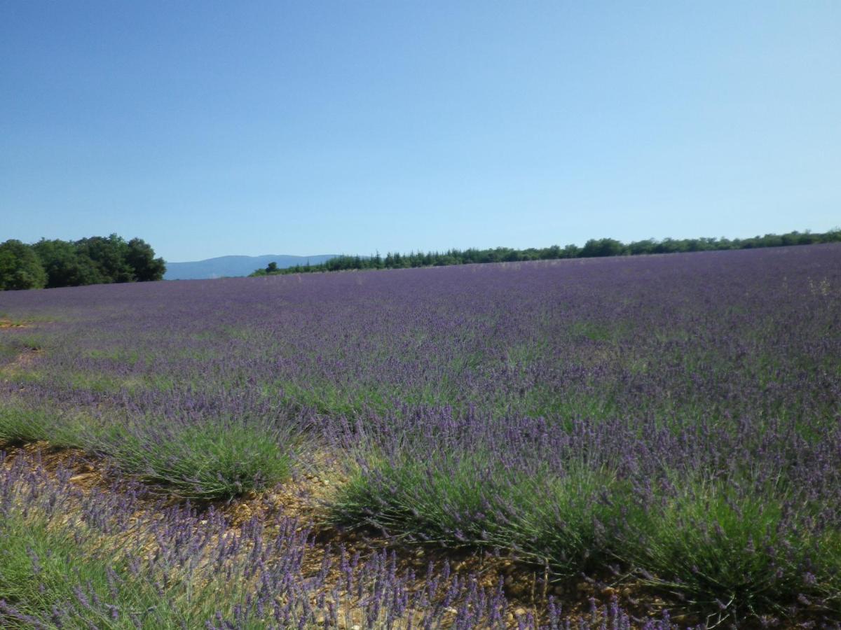 La Mordoree La Motte-d'Aigues Kültér fotó