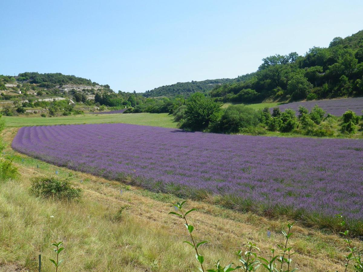 La Mordoree La Motte-d'Aigues Kültér fotó